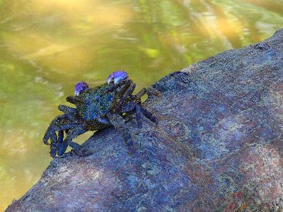 P8010018 - コピー.JPG