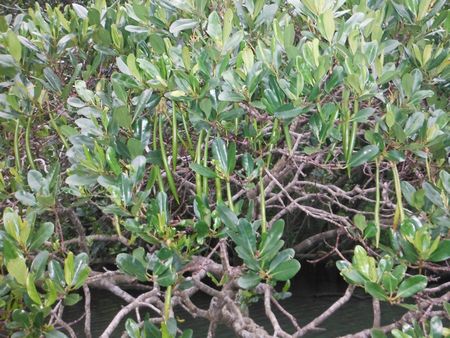 井上様７ (2).JPG