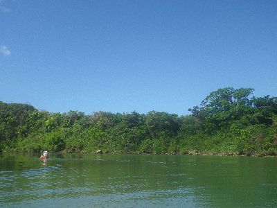 ｎ2014.11.15 (2).JPG