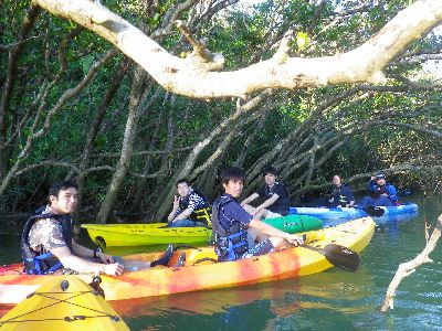 ｎ2014.11.22 (1).JPG