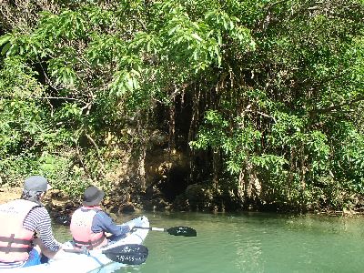 ｎ2014.11.23 (1).JPG