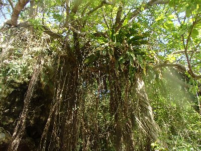 ｎ2014.11.7 (1).JPG