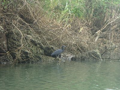 ｎ2014.11.7 (2).JPG