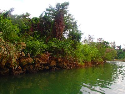 ｎ2014.12.19 (1).JPG