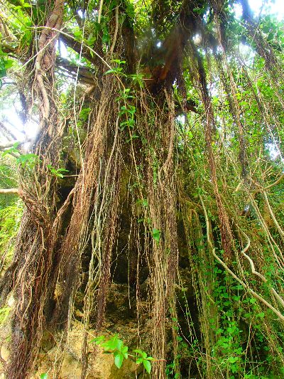 ｎ2014.12.19 (2).JPG