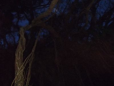 ｎ20140.10.23 (2).JPG