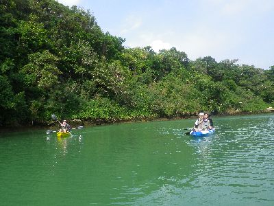 ｎ2015.1.19 (2).JPG