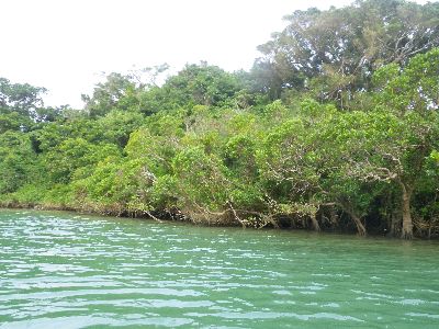 ｎ2015.1.20 (1).JPG