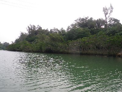 ｎ2015.1.20 (2).JPG