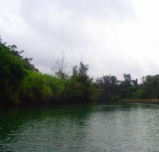 ｎ2015.5.11 (2).JPG