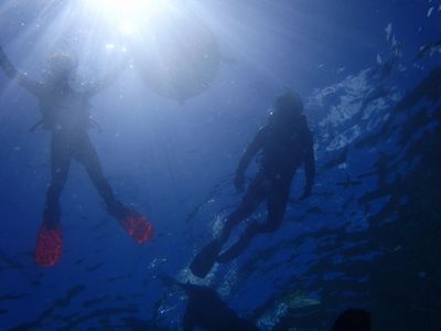 ｎ2015.5.15 (2).JPG