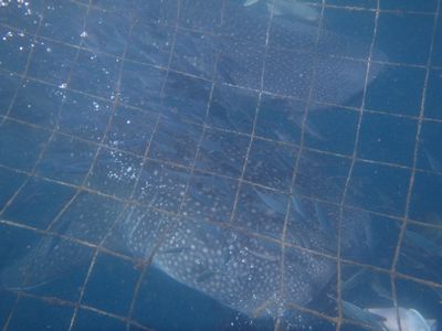 ｎ2015.7.27 (2).JPG