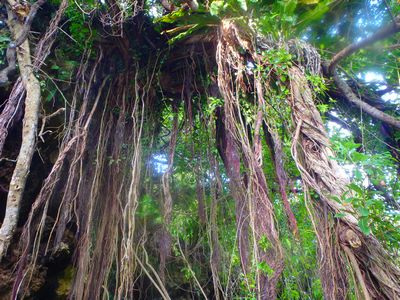 ｎ2015.9.29 (2).JPG