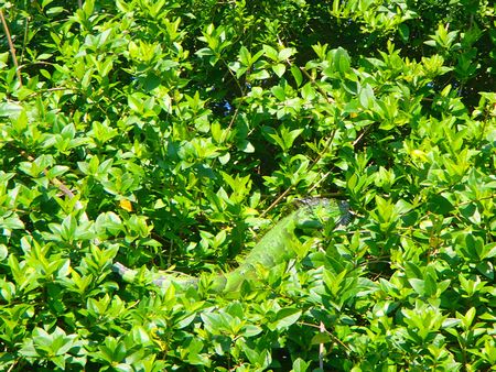 P3160092 - コピー (2).JPG