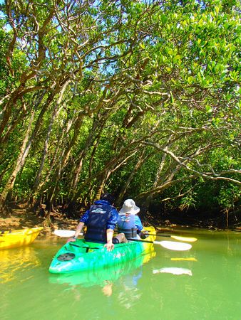 P3160109 - コピー.JPG