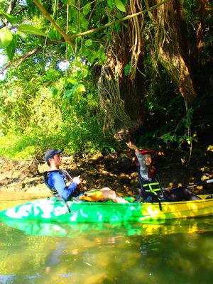 r２０１４３２６ (1).JPG