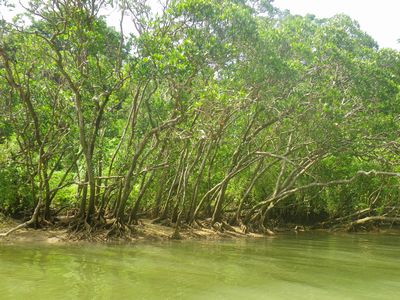 r２０１４８９ (2).JPG