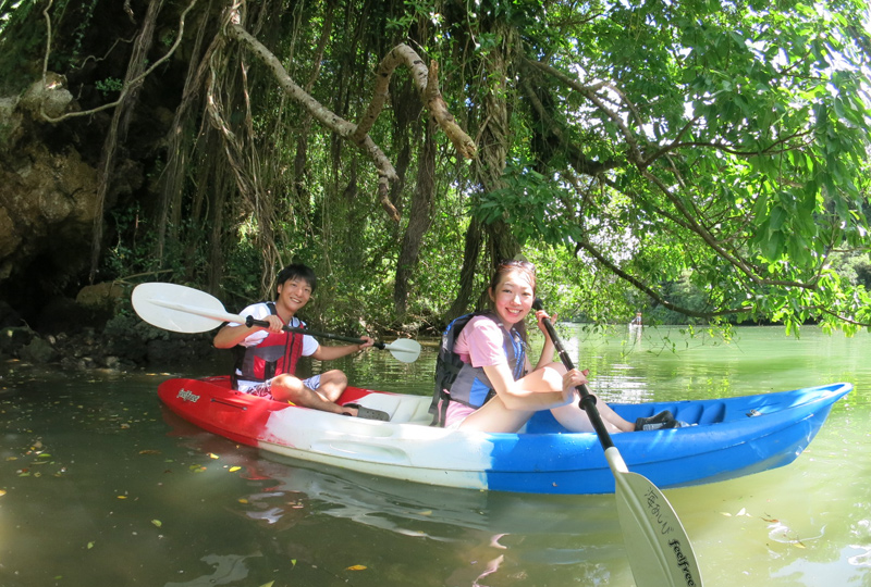 kayaking in mangroves
