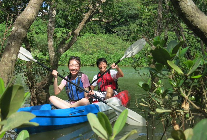 Mangrove Kayak Tour