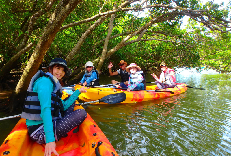 Mangrove Kayak Tour