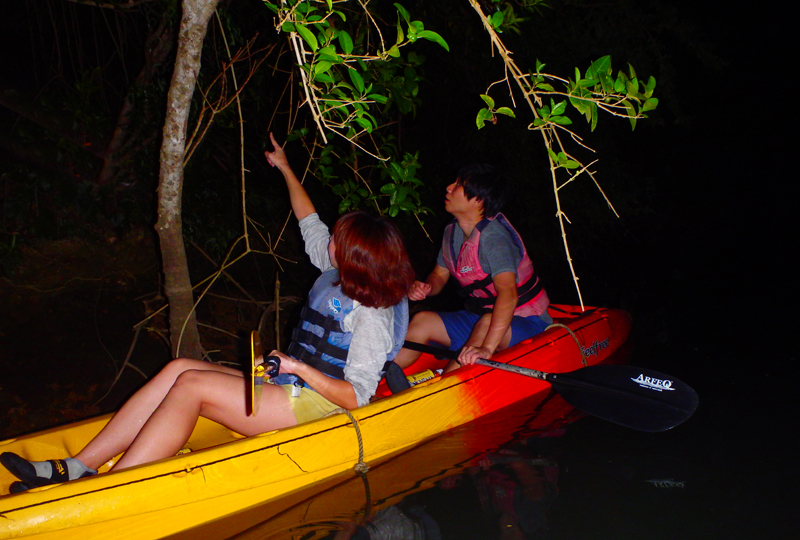 Night Kayak Tour 