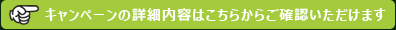 キャンペーンの詳細内容