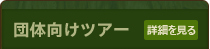 団体向けカヤックツアー