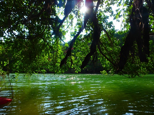 PB150027shiori (1).JPG