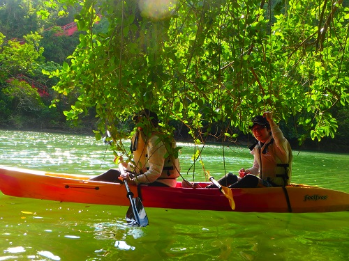 PB150027shiori (2).JPG