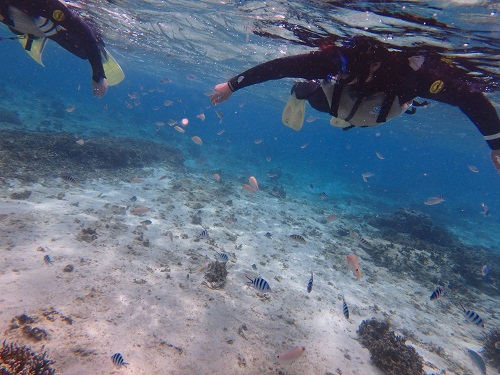 PB150027shiori (3).JPG